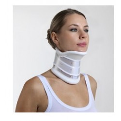 Dual Sanitaly Soc. Benefit...