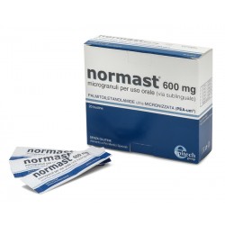 Epitech Group Normast 600...