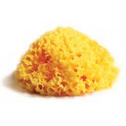 Budetta Farma Spugna...