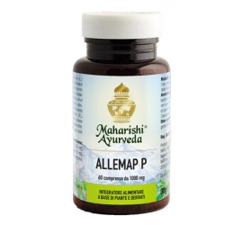 Map Italia Allemap P 60...