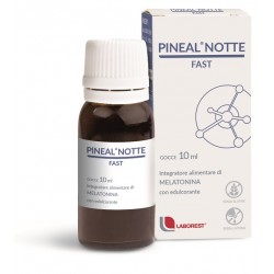 Uriach Italy Pineal Notte...