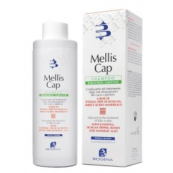 200ml di Shampoo Riducente Lenitivo da Biogena Mellis Cap
