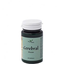 Phytoitalia Cerebral...