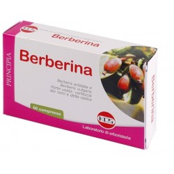 Kos Berberina Da Berberis...