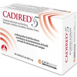 Ca. Di. Group Cadired 5 36...