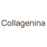 Collagenina